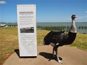 Birdman Of The Coorong - South Australia Travel 0