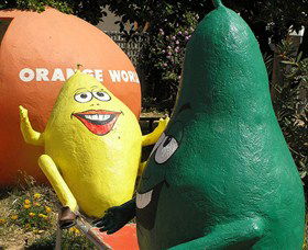 Orange World - South Australia Travel 0