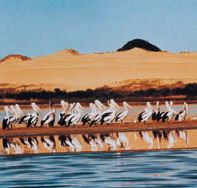 Coorong National Park - South Australia Travel