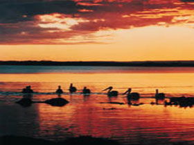 Coorong National Park - South Australia Travel 1