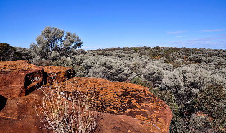 Cubba NSW South Australia Travel