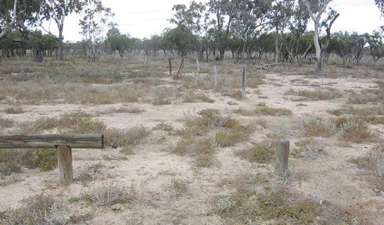 Collerina NSW South Australia Travel