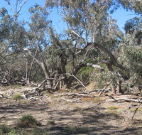 Mirri Mirru Yurun - South Australia Travel