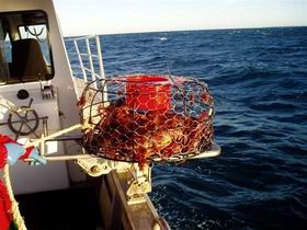 Lacepede Seafood - South Australia Travel 1