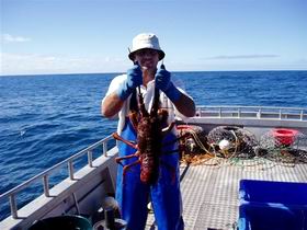 Lacepede Seafood - South Australia Travel 2