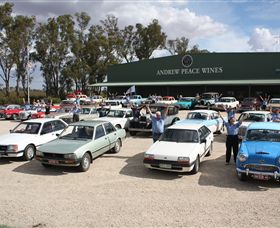 Andrew Peace Wines - South Australia Travel 4