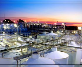 Andrew Peace Wines - South Australia Travel 3