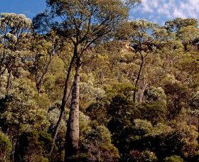 Ka Ka Mundi, Carnarvon National Park - South Australia Travel 0