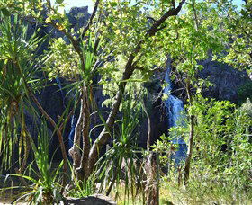Manngarre Rainforest Walk - South Australia Travel 1