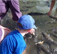 Aquascene - South Australia Travel