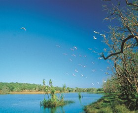 Nature's Way - South Australia Travel 5