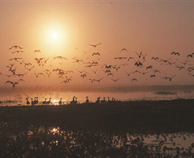 Nature's Way - South Australia Travel 6