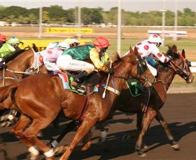 Darwin Turf Club - South Australia Travel 1
