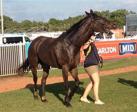 Darwin Turf Club - South Australia Travel 2