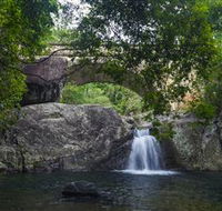 Paluma and Crystal Creek Rainforest - South Australia Travel