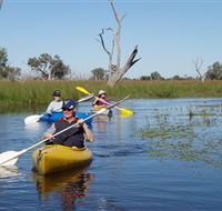 Marsh Meanders - South Australia Travel