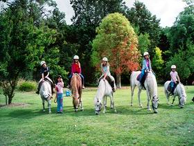 Struan SA South Australia Travel