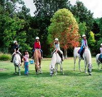 Limestone Coast Horseriding - South Australia Travel