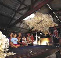 Shear Outback the Australian Shearers Hall of Fame - South Australia Travel