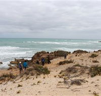The Seaview Walking Trail - South Australia Travel
