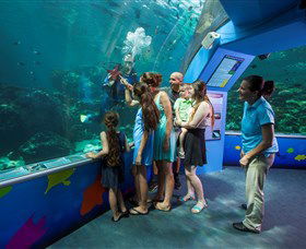 Reef HQ Aquarium - South Australia Travel 2
