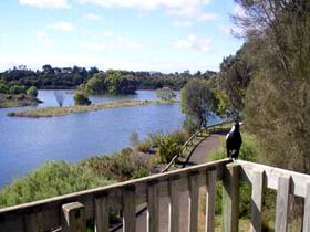 Lake McIntyre - South Australia Travel 0