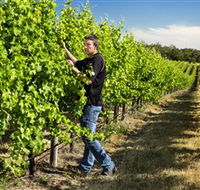 Patrick of Coonawarra - South Australia Travel