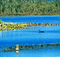 Hasties Swamp National Park - South Australia Travel