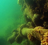 Wreck Diving at Magnetic Island - South Australia Travel