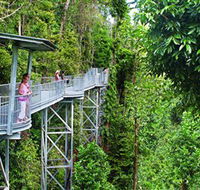 Mamu Tropical Skywalk - South Australia Travel