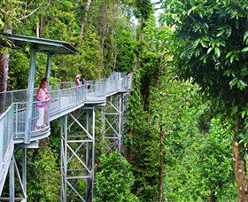 Mamu Tropical Skywalk - South Australia Travel 0