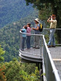 Mamu Tropical Skywalk - South Australia Travel 2