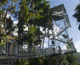 Mamu Tropical Skywalk - South Australia Travel 1