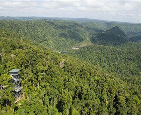 Mamu Tropical Skywalk - South Australia Travel 3