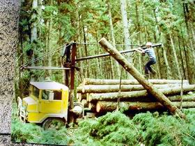 Nangwarry Forestry And Logging Museum - South Australia Travel 3