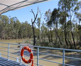 Wetlander Cruises - South Australia Travel 6
