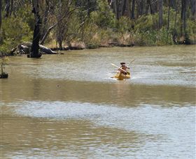 Wetlander Cruises - South Australia Travel 5