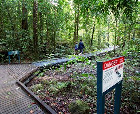 Josephine Falls, Wooroonooran National Park - South Australia Travel 2