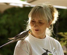 Simply Tomatoes - South Australia Travel 0