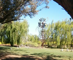 Simply Tomatoes - South Australia Travel 7