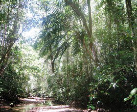 Mount Lewis National Park - South Australia Travel 0