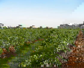 Warburn Estate - South Australia Travel 1