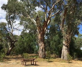 Bob Christensen Reserve - South Australia Travel 2