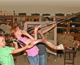 The Bible Museum - South Australia Travel 2