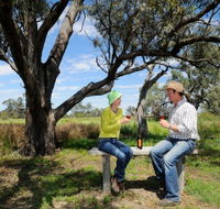 Restdown Wines and Walking Trail - South Australia Travel