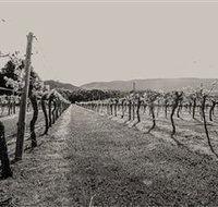 Halls Gap Estate - South Australia Travel