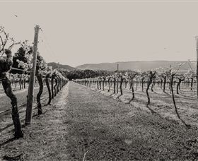 Halls Gap Estate - South Australia Travel 0