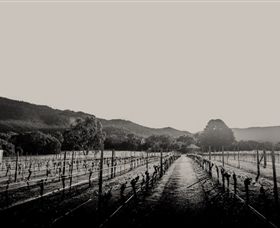 Halls Gap Estate - South Australia Travel 1