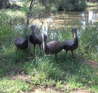 East Tolans Farm Tour - South Australia Travel