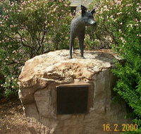 Dingo Statue - South Australia Travel